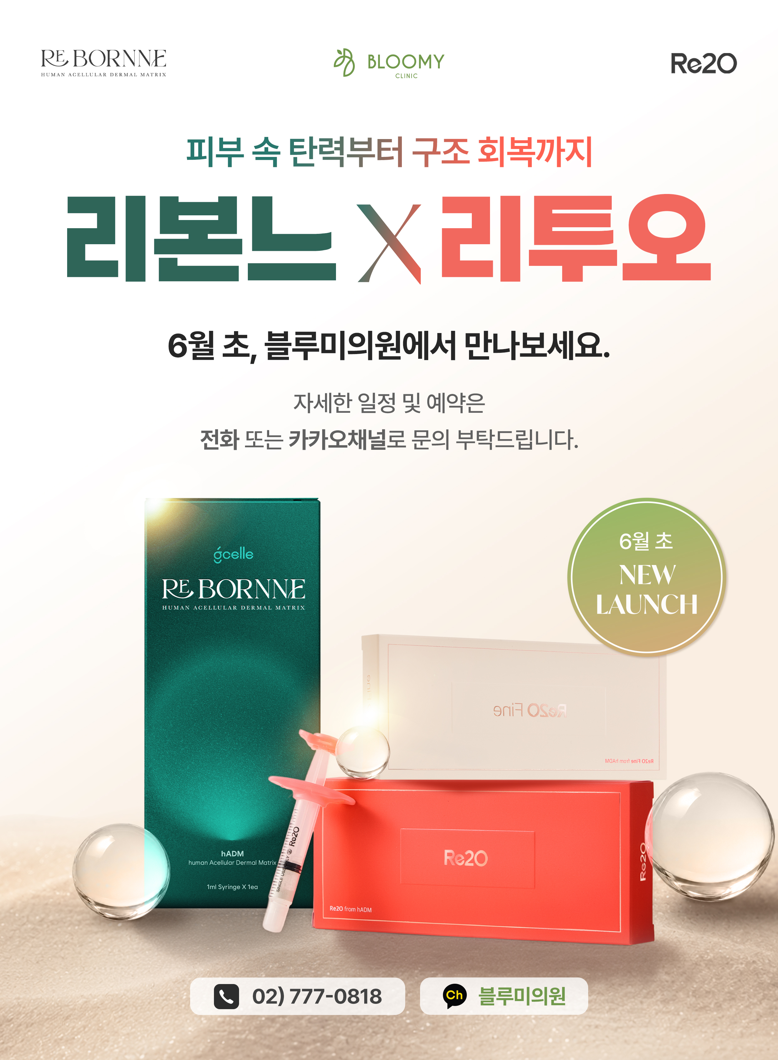 리투오 • 리본느 도입 !