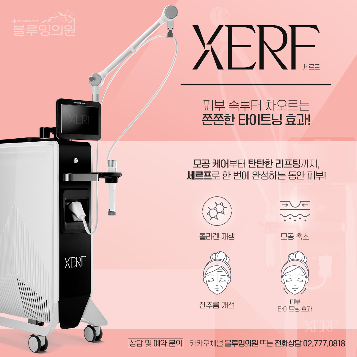 세르프